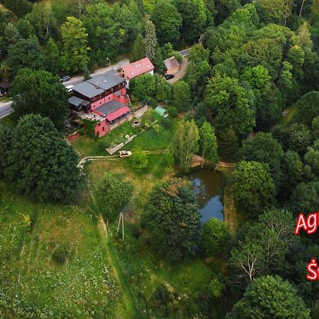 Agroturystyka Pod Świerkiem Srebrna Góra Zewnętrze zdjęcie