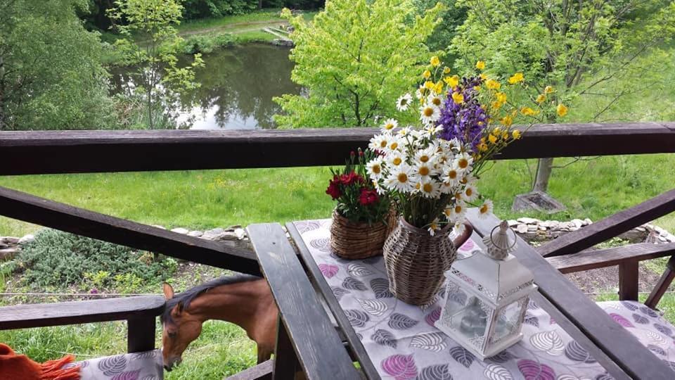 Agroturystyka Pod Świerkiem Srebrna Góra Zewnętrze zdjęcie